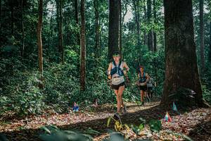 BIB: 
                            <button type="button" onclick="openModal(26080474)" class="btn btn-primary btn-sm float-right btn-popup" data-toggle="modal" data-target=".modal-high-quality">
                        <i class="fas fa-shopping-cart"></i> Add to Cart
                    </button>
                                            <button type="button" onclick="isThisMe(26080474, true)" class="btn btn-success btn-sm float-right btn-popup btn-isme hidden" data-toggle="tooltip" data-placement="bottom" title="นี่คือรูปของคุณใช่ไหม คลิกที่นี่เพื่อเอาเข้าอัลบั้ม">
                        <i class="fas fa-plus"></i> Add to album
                    </button>
                    <button type="button" onclick="isThisMe(26080474, false)" class="btn btn-warning btn-sm float-right btn-popup btn-isnotme hidden">
                        <i class="fas fa-ban"></i> Remove from album
                    </button>